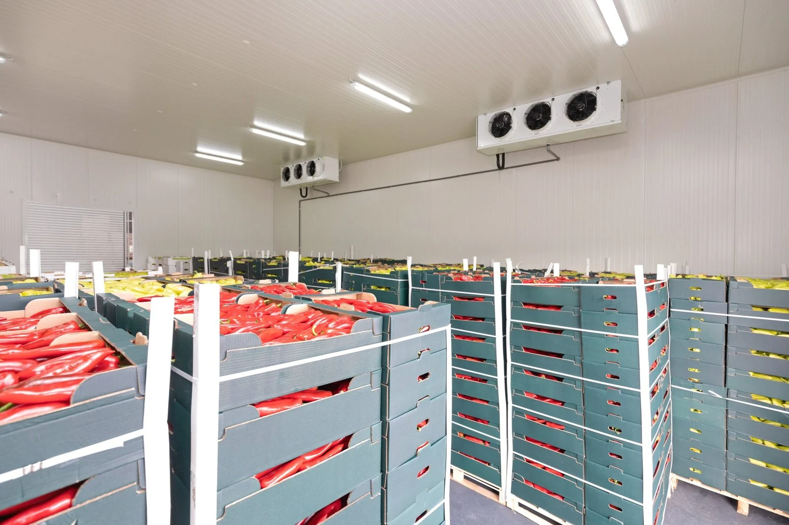 Cold storage facility